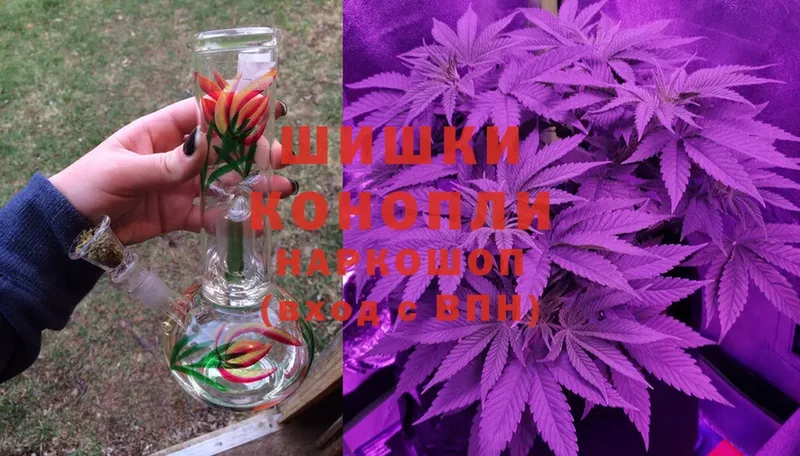 магазин продажи наркотиков  Нягань  блэк спрут как зайти  Каннабис SATIVA & INDICA 